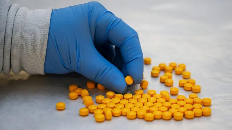 b8792c40 21a7 11f1 bebc a7f36f9d3390.jpg