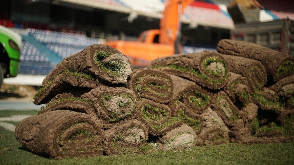 photo 2026 01 21 20 06 35 1024x576